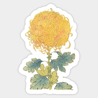 Gold Chrysanthemum - Hasegawa - Traditional Japanese style - Botanical Illustration Sticker